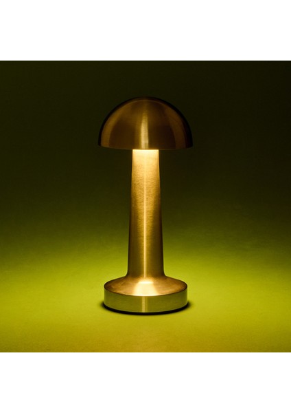 Lotus Masa Lambası - Krom fırsatları