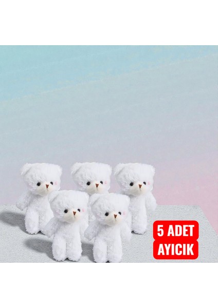 Hediye Kutusu Özel Hediye Paketi Ayıcık ve Holografik Sonsuzluk Gülü Seti fiyatları