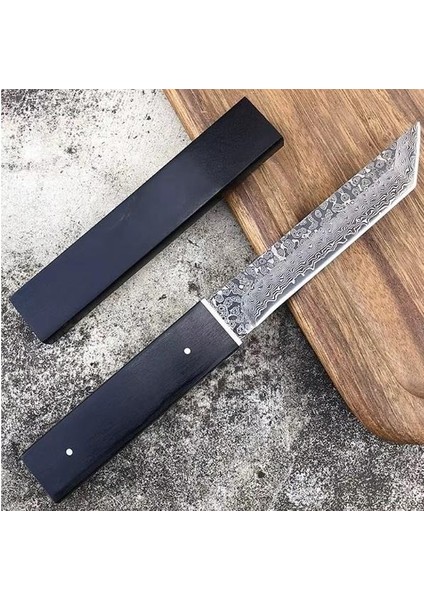 Japon Samurai Damascus Tanto Nadir modelleri