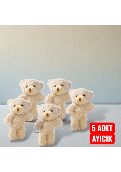 Kutu Ayıcık Beyaz Sonsuzluk Gülü Hediye Seti fiyatları