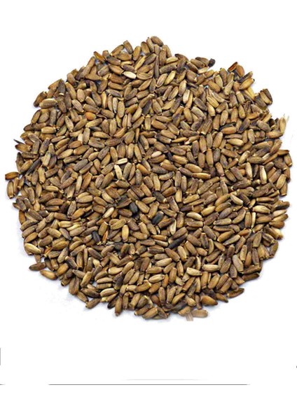 Deve Dikeni Tohumu 400G fiyatları