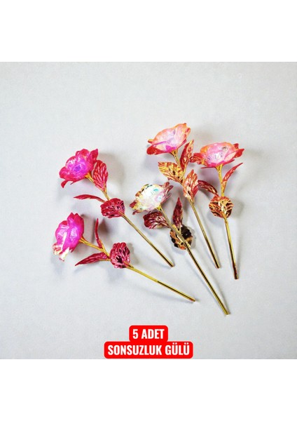 Kutu Ayıcık Beyaz Sonsuzluk Gülü Hediye Seti modelleri