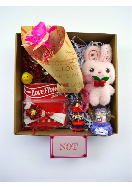 Romantik Hediye Kutusu Sonsuzluk Gülü Kar Küresi ve Mini Tavşan Konsept Set