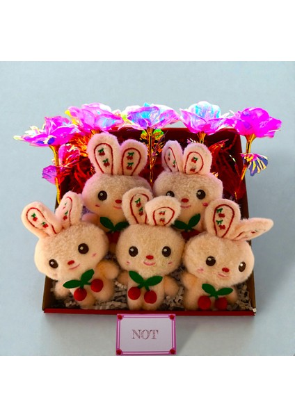 Peluş Kiraz Tavşan Hediye Seti Sonsuzluk Gülü 5'li Set