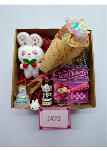 Romantik Hediye Kutusu – Sonsuzluk Gülü, Kar Küresi ve Mini Tavşan Konsept Set