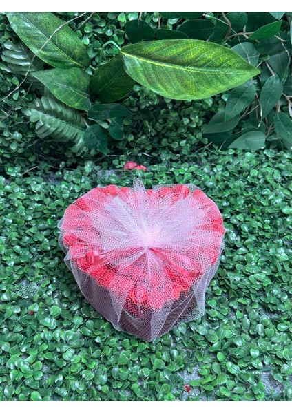 Güllü Kolyeli ve Kar Küresi ile Yılbaşı Hediye Kutusu Seti fiyatları