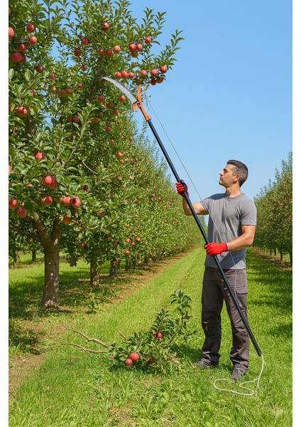 KTX-2785 Tepe Budama Testeresi | Uzun Saplı Ağaç Dal Kesme & Budama Testeresi fiyatları