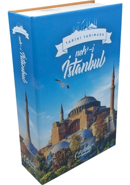 Istanbul Tarihi Yarımada Ciltli Kitap, Şehir ve Kültür Koleksiyonu