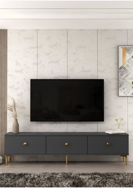 1333TV180-1 Tv Tv Sehpası Antrasit-Altın
