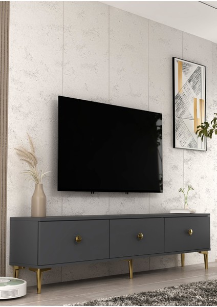 1333TV180-1 Tv Tv Sehpası Antrasit-Altın