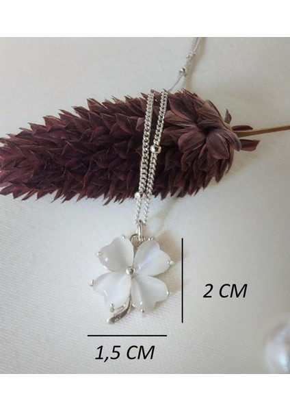 Sedef Doğal Taş Dört Yapraklı Yonca 925 Ayar Gümüş Kolye modelleri