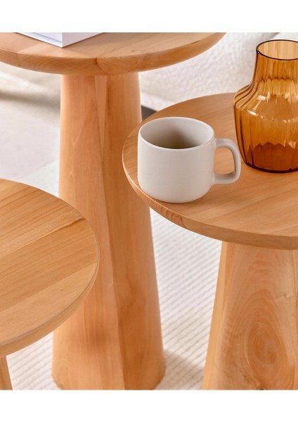 3’lü Modern Ihlamur Ağacı Mantar Sehpa Seti – Dekoratif & Şık Tasarım fiyatları