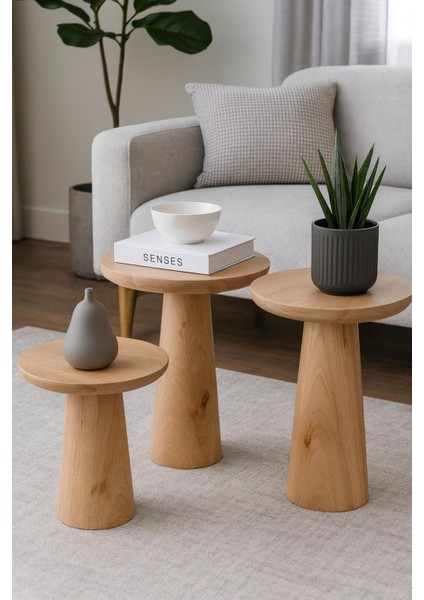 3’lü Modern Ihlamur Ağacı Mantar Sehpa Seti – Dekoratif & Şık Tasarım modelleri