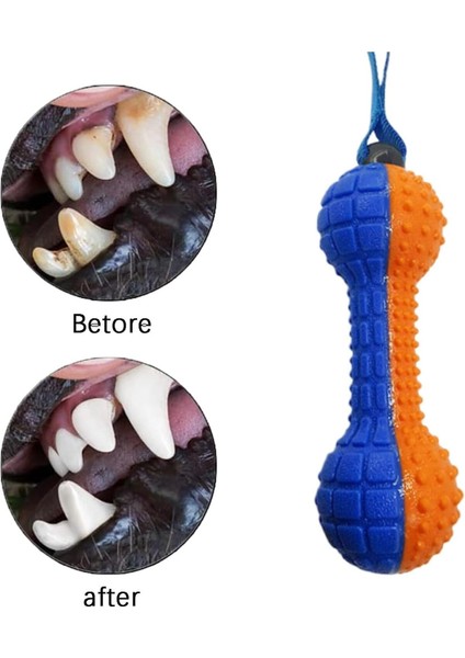Köpek Çiğneme Oyuncağı Köpek Dişlik Oyuncak Köpek Diş Kaşıyıcı Oyuncak Parçalanmaz Dayanıklı modelleri