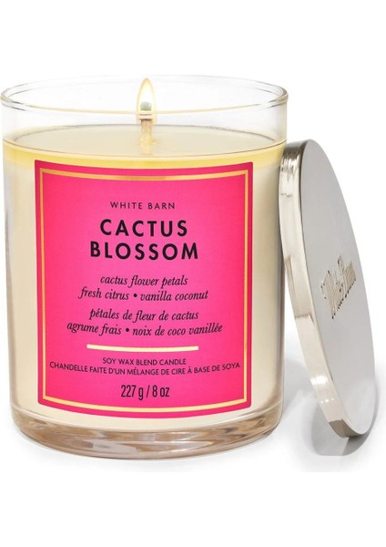 Cactus Blossom Orta Boy Mum 227 G