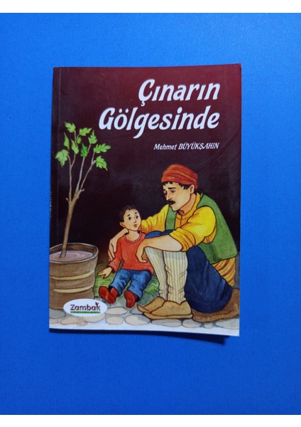 Çınarın Gölgesinde - Mehmet Büyükşahin - Zambak Yayınları