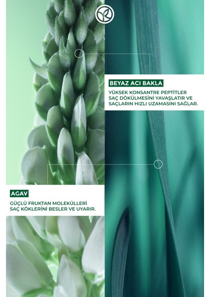 Zayıf ve Cansız Saçların Uzatıcı ve Saç Dökülmesine Karşı Güçlendirici Vegan B6 Kür 60ML modelleri