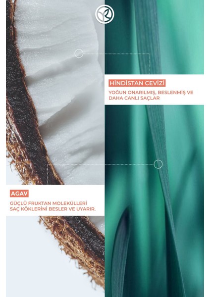 Yeni Formül Saçları Kırılmaya Karşı Koruyucu ve Canlandırıcı Hindistan Cevizi Bakım Yağı 100ML modelleri