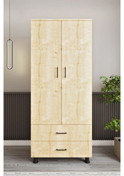 ASL6330 Çok Amaçlı Dolap 2 Kapaklı ve 2 Çekmeceli Dolap modelleri