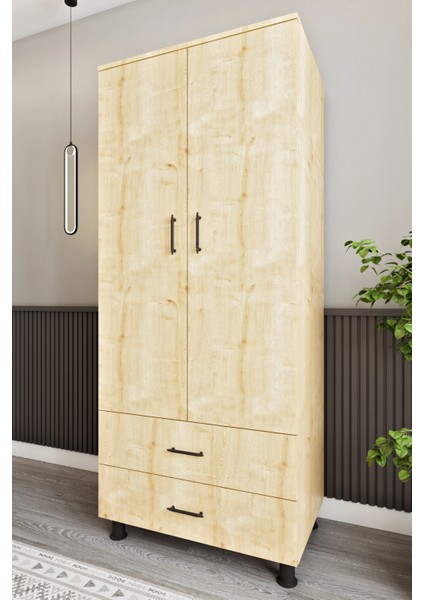 ASL6330 Çok Amaçlı Dolap 2 Kapaklı ve 2 Çekmeceli Dolap fırsatları