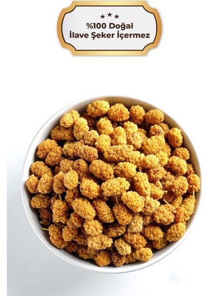 Premium Dut Kurusu – 210GR – Doğal Kurutulmuş fiyatları