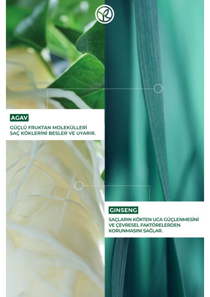 Yeni Formül Dökülme Önleyici Saç Köklerini Besleyici ve Güçlendirici Vegan Serum 75ML modelleri