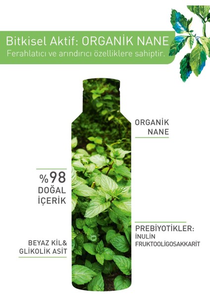 Yeni Formül Karma-Yağlı Ciltler Için Gözenekleri Arındıran, Siyah Nokta ve Karşıtı Pudralı Tonik 150ML modelleri