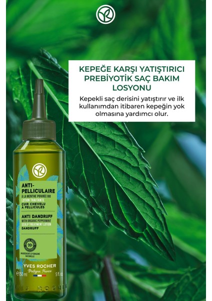 Yeni Formül Kepek Oluşumunu Önleyici Arındırıcı ve Yatıştırıcı Vegan Saç Losyonu 150ML