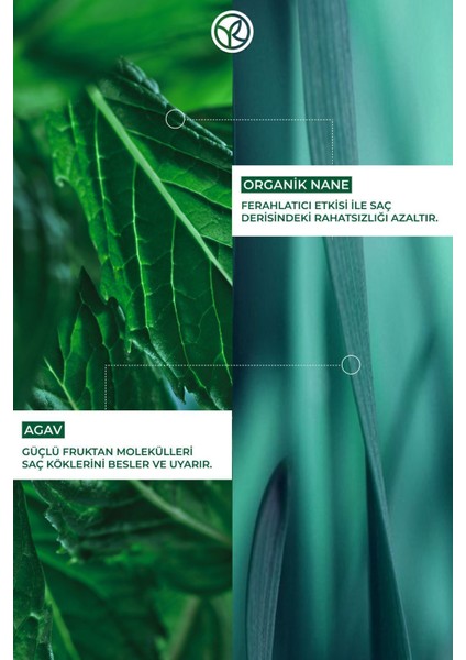 Yeni Formül Kepek Oluşumunu Önleyici Arındırıcı ve Yatıştırıcı Vegan Saç Losyonu 150ML modelleri