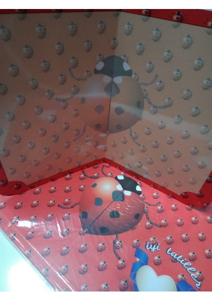 ayşecik elux klasik karne kılıfı