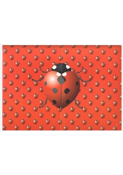 ayşecik elux klasik karne kılıfı fiyatları