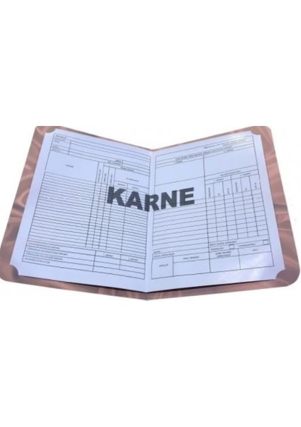 ayşecik elux klasik karne kılıfı modelleri