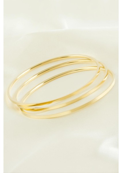 3 Adet Ajda Lüks Çelik Bilezik 65*2 mm