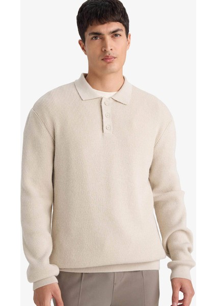 Standart Fit Polo Yaka Triko Kazak D3589AX25WN