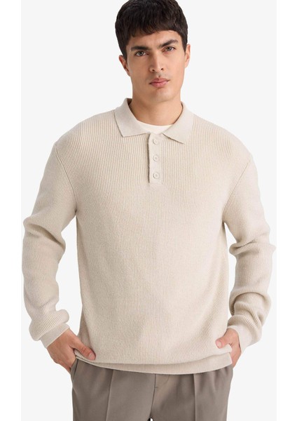 Standart Fit Polo Yaka Triko Kazak D3589AX25WN modelleri