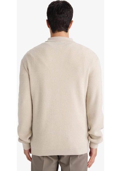 Standart Fit Polo Yaka Triko Kazak D3589AX25WN indirimleri