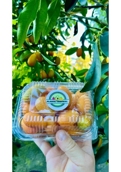 Fırsat PAKETİ(895₺) fiyatları