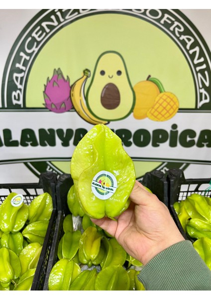 Fırsat PAKETİ(895₺) modelleri