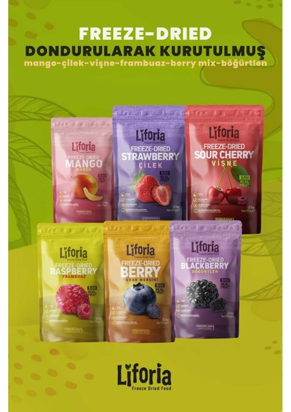 6’lı Dondurulmuş Meyve - Sağlıklı Atıştırmalık - Mango Çilek Vişne Frambuaz Yaban Mersini Böğürtlen