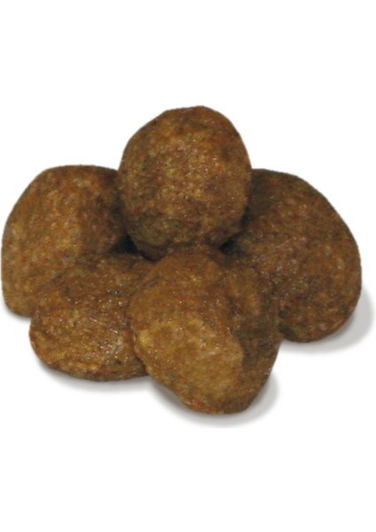 Ageing Feline Star Hairball 12 Yaş Üzeri Tavuklu Yetişkin Kedi Maması 1.5kg fiyatları