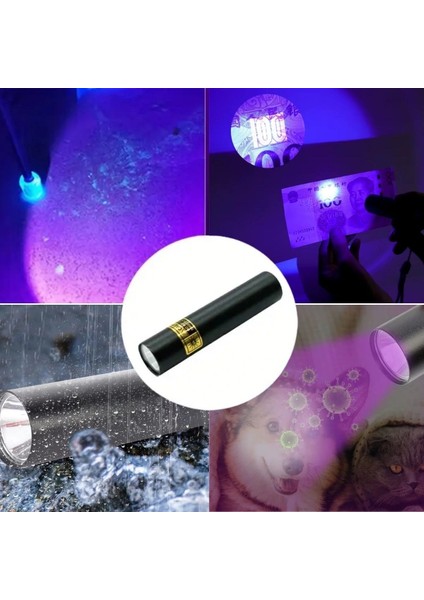 Mini Cep Boy USB Ile Şarj Olan Oje Kurutucu Para Kontol LED Uv Mor Işık El Feneri (5148)