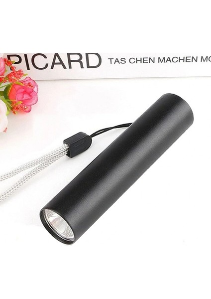 Mini Cep Boy USB Ile Şarj Olan Oje Kurutucu Para Kontol LED Uv Mor Işık El Feneri (5148) indirimleri