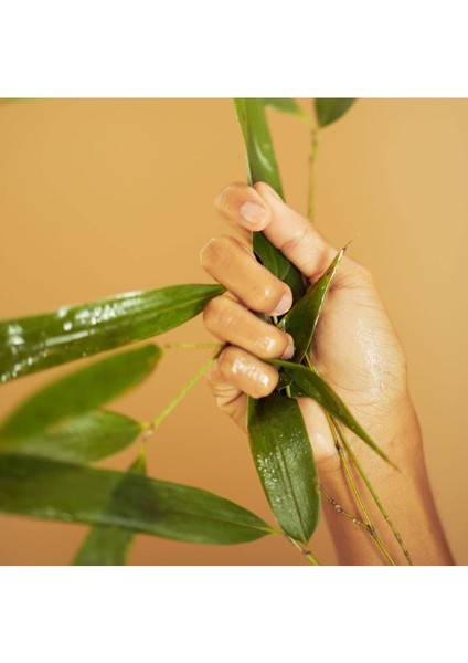 Bambu Krem Nemlendirici, Pürüzsüzleştirici, Sıkılaştırıcı Yüz Kremi 50 Mlerdm fırsatları