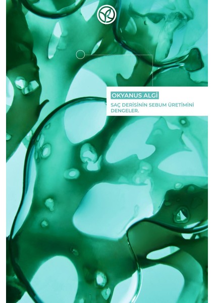 Cleansing Shampoo For Oily Hair / Pure Detox - Free From Sls And Sles, Vegan - 300ML modelleri