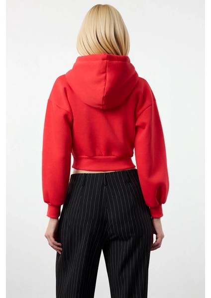 Kadın Kapüşonlu Düşük Kol Fermuarlı Örme Sweatshirt Fonksiyonel Dayanıklı Kaliteli Estetik fırsatları