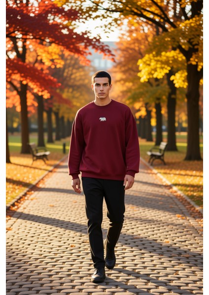 Erkek Bisiklet Yaka Standart Kol Oversize Fit Sweatshirt Fonksiyonel Dayanıklı Kaliteli Şık