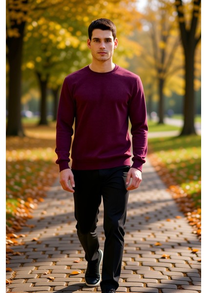 Erkek Bisiklet Yaka Standart Kol Regular Kalıp Sweatshirt Fonksiyonel Dayanıklı Kaliteli Şık