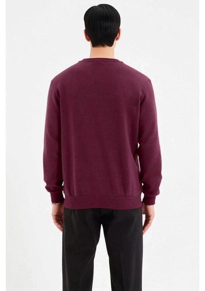 Erkek Bisiklet Yaka Standart Kol Regular Kalıp Sweatshirt Fonksiyonel Dayanıklı Kaliteli Şık fırsatları