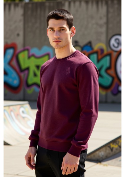 Erkek Bisiklet Yaka Standart Kol Regular Kalıp Sweatshirt Fonksiyonel Dayanıklı Kaliteli Şık indirimleri