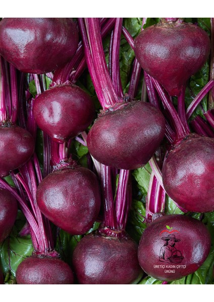 Naturel Kırmızı Pancar Reçeli 550 gr indirimleri